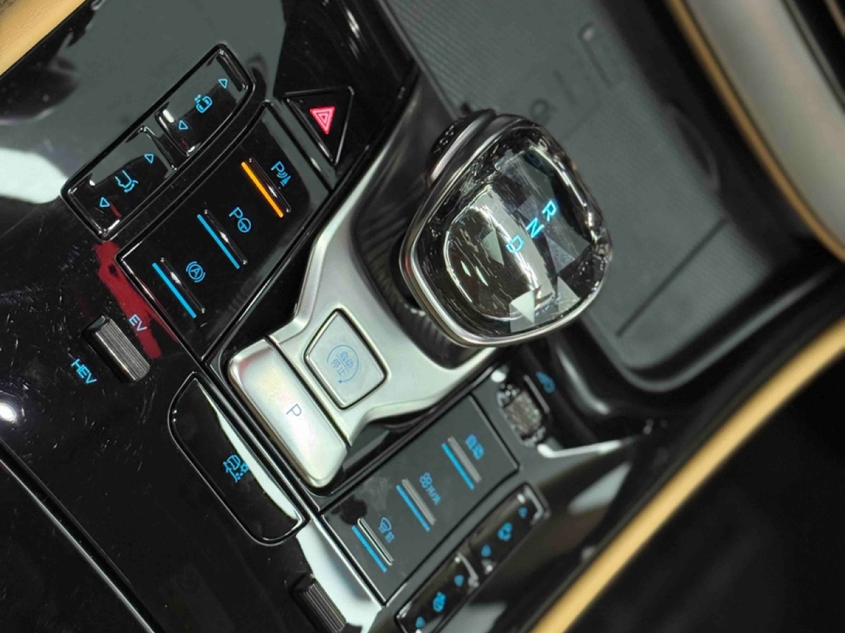 Denza D9 2024 imagen de coche #4