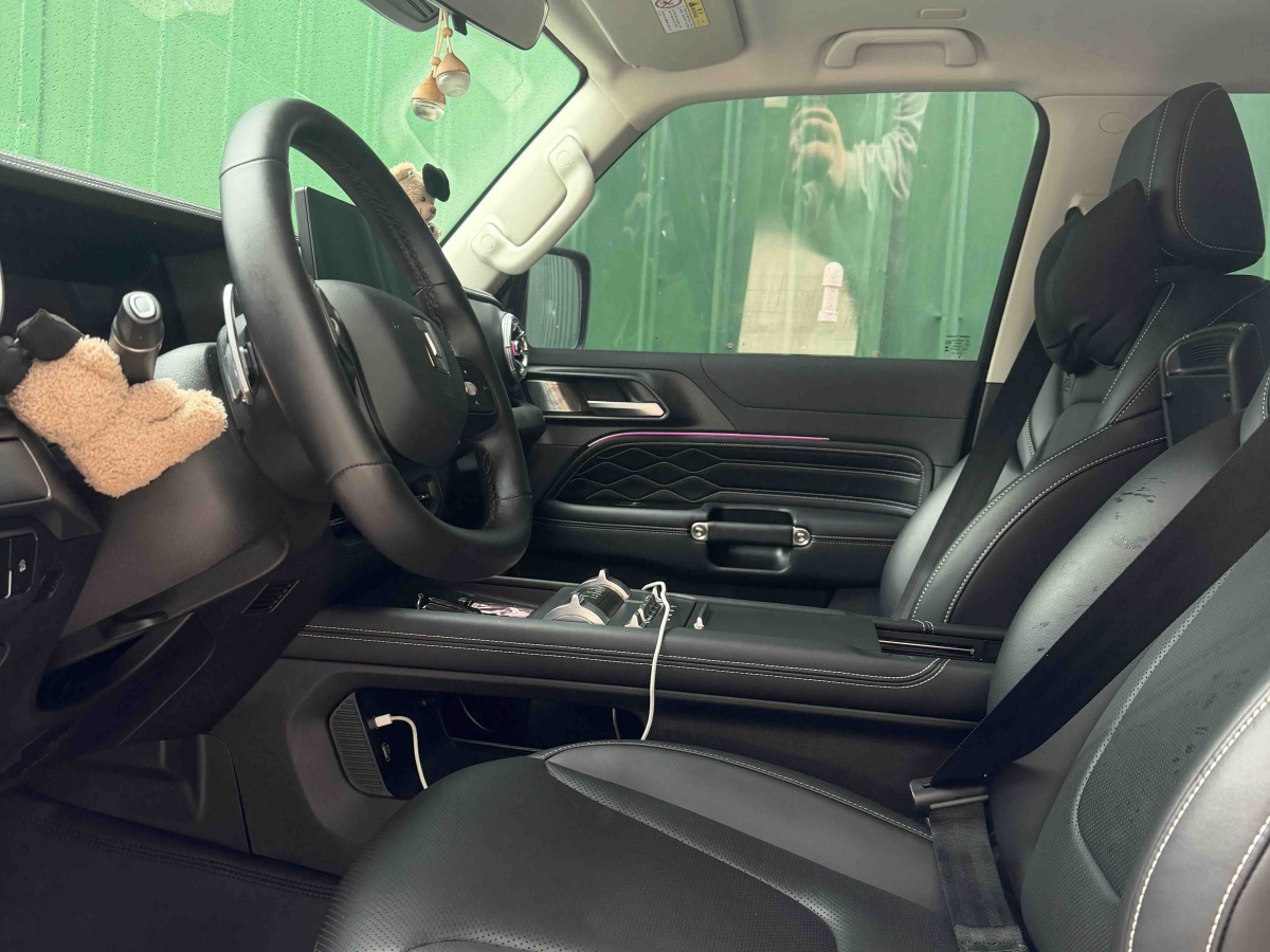 Tank 300 New Energy 2025 car image #4