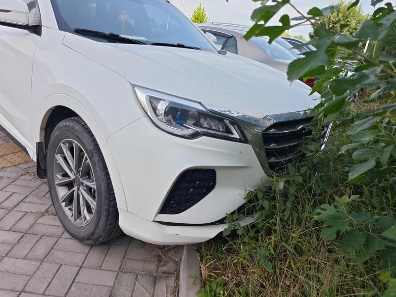 Jetour X70 Coupe 2019 car image #4