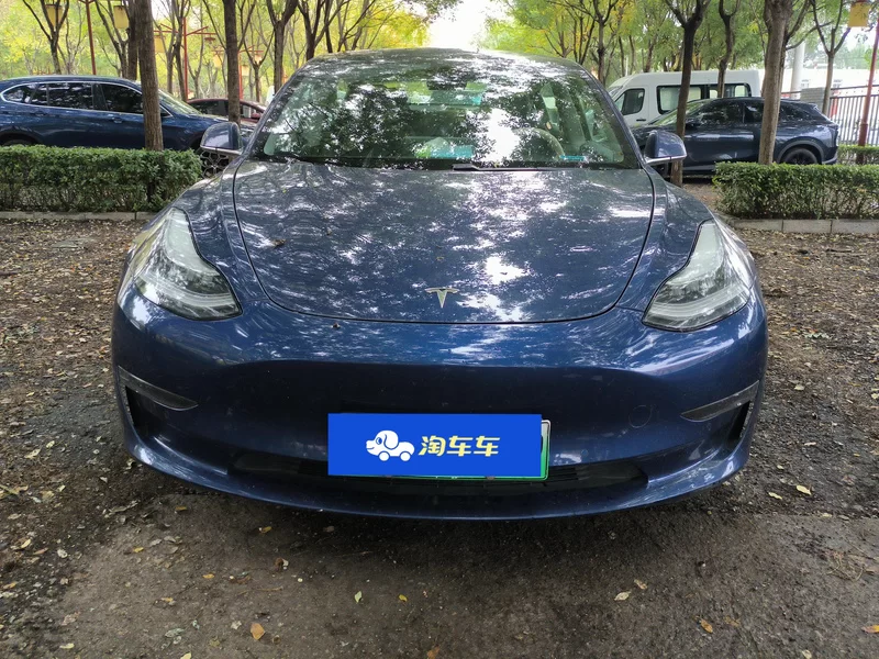 特斯拉 Model 3(进口) 2019 汽车图片 #4