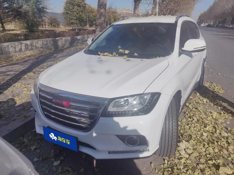 Haval H2 2015 car image #4