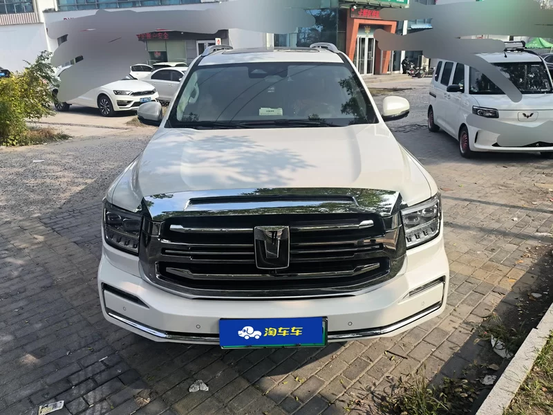 Tank 500 2023 car image #4