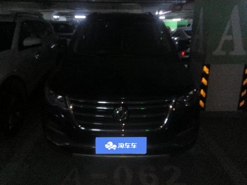 Forthing SX6 2017 immagine di auto #4