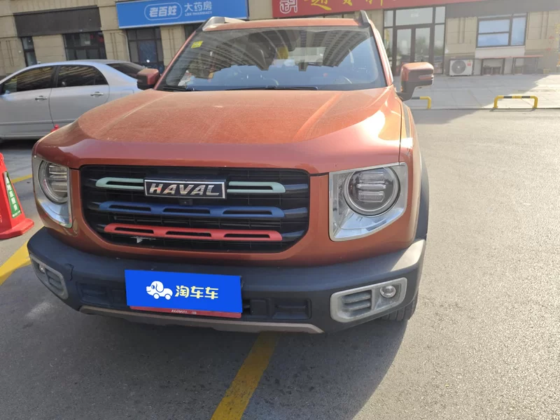 Haval X Dog / Dargo 2021 #4 Haval X Dog / Dargo 2021 car image #4