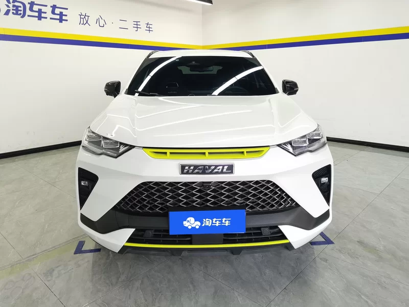 Haval H6S 2022 immagine di auto #4