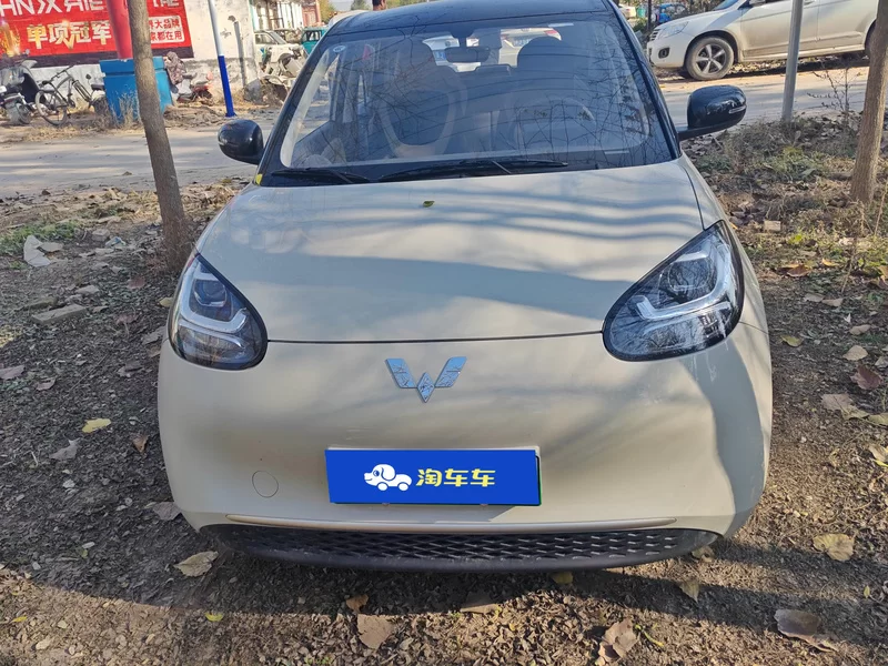 五菱汽车 五菱缤果 2024 汽车图片 #4