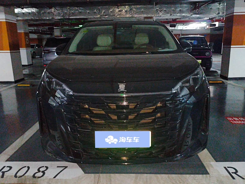 BYD Xia 2024 صورة سيارة #4