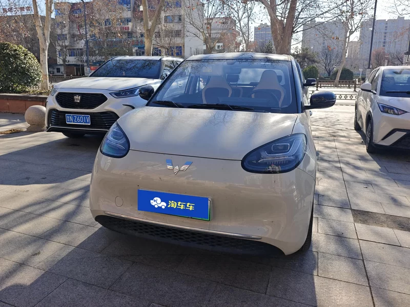 五菱汽车 五菱缤果 2024 汽车图片 #4