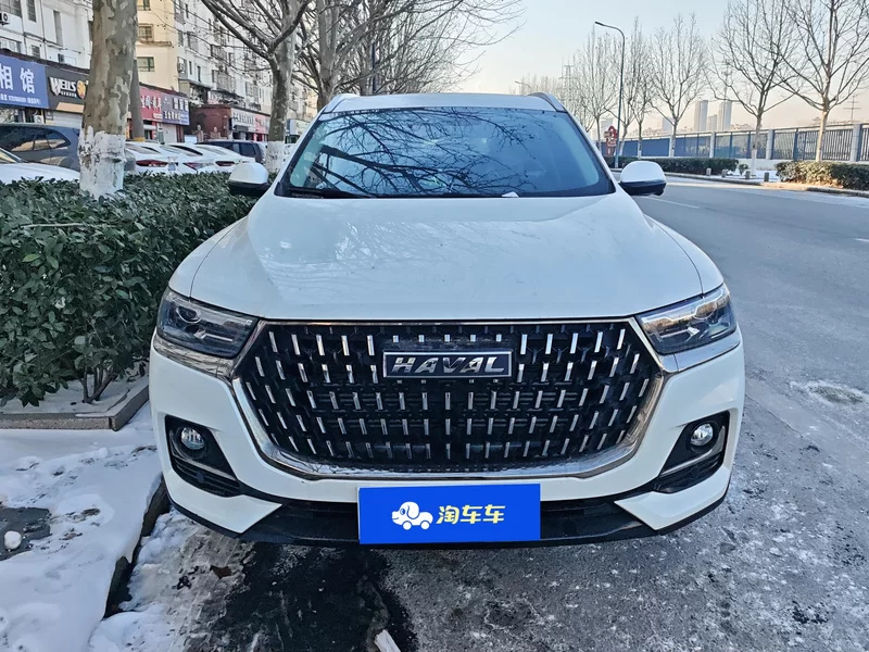 Haval H6 2024 car image #4