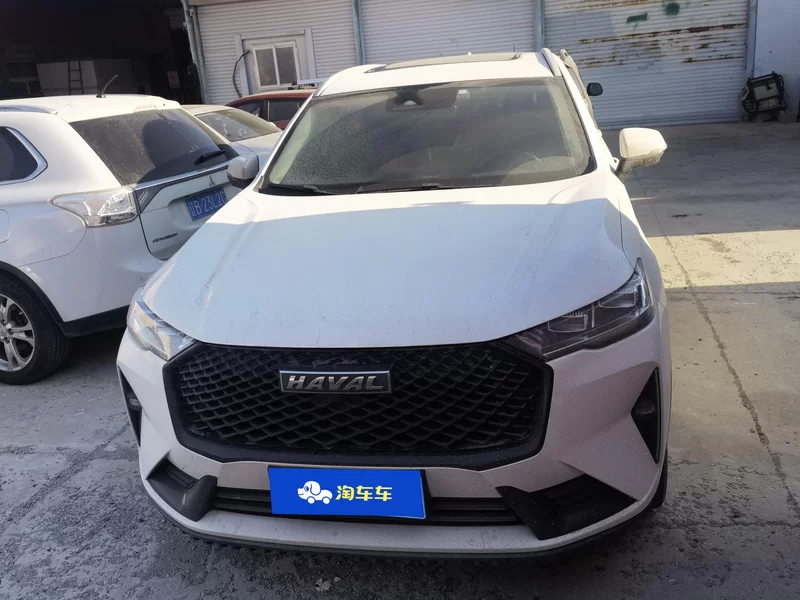 Haval H6 2021 #4 Haval H6 2021 car image #4