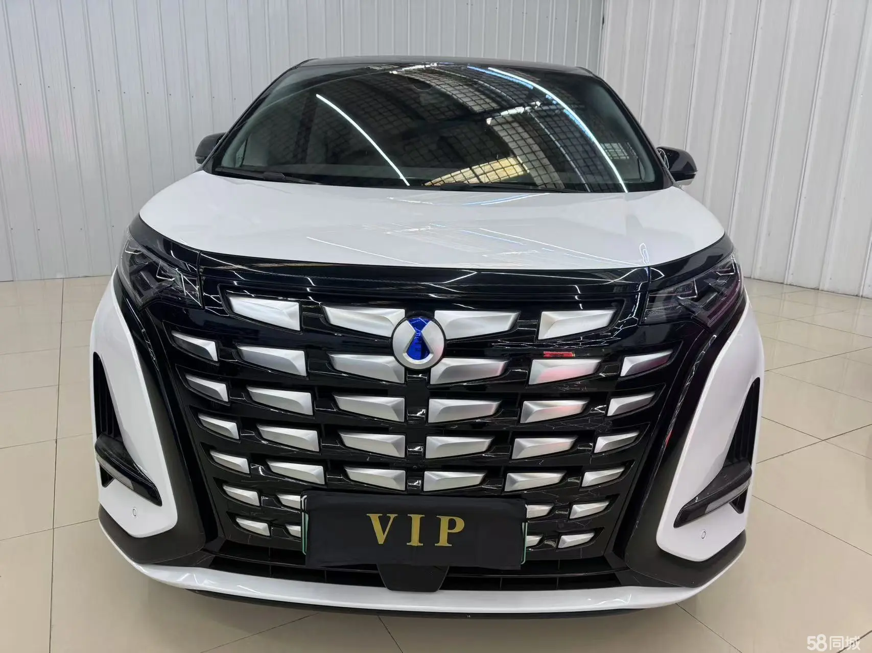 Denza D9 2023 image de voiture #4