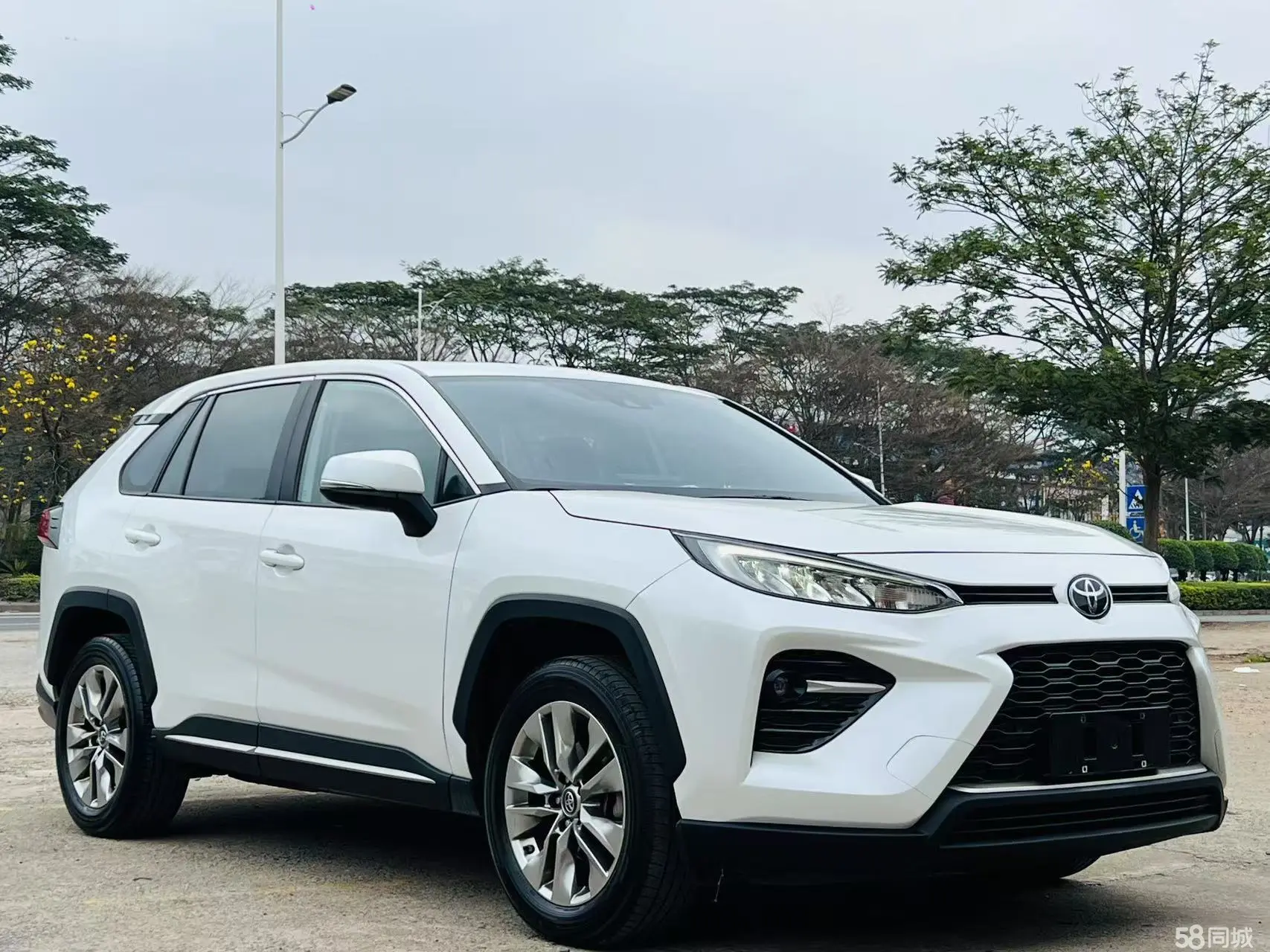 Toyota Wildlander 2021 imagem de carro #4