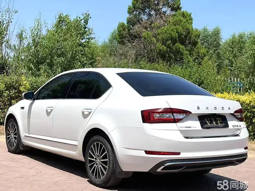 Skoda Octavia 2020 изображение автомобиля #4