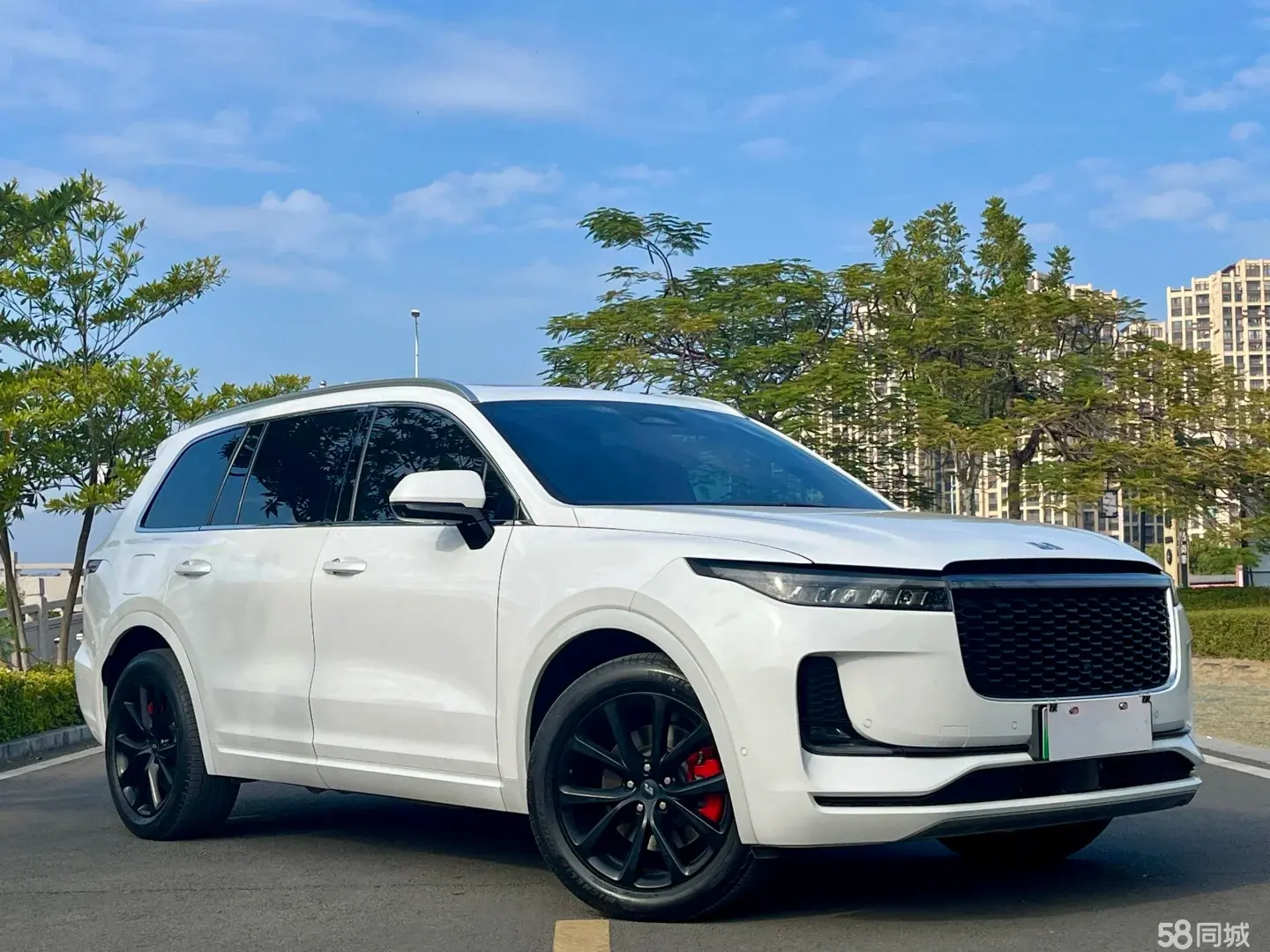 Li i6 2021 imagen de coche #4