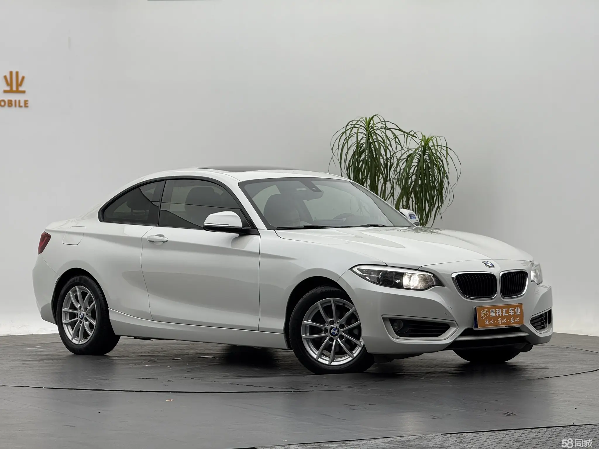 BMW 2 Series (Imported) 2016 imagen de coche #4