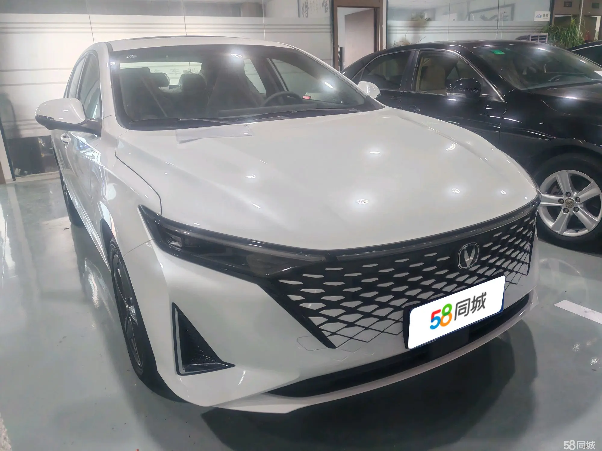 Changan Raeton Plus 2025 car image #4