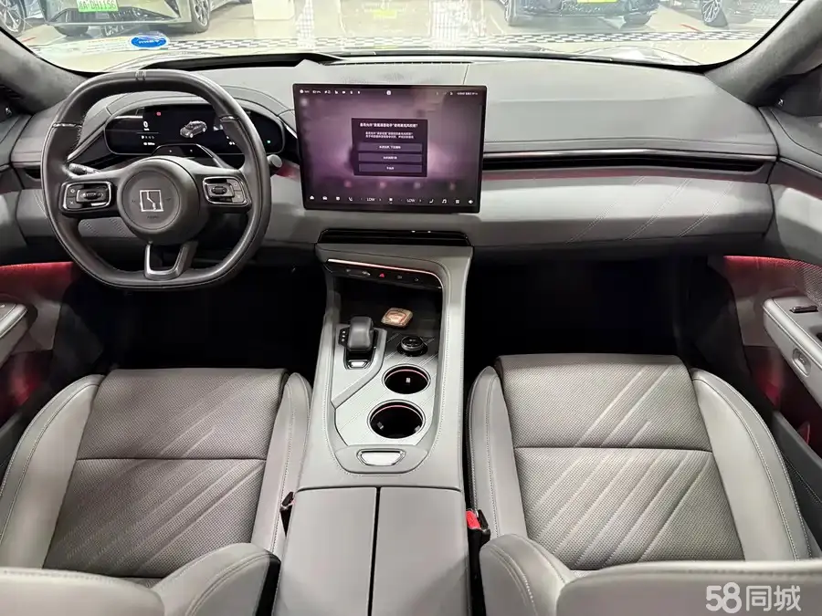 极氪 极氪001 2024 汽车图片 #4