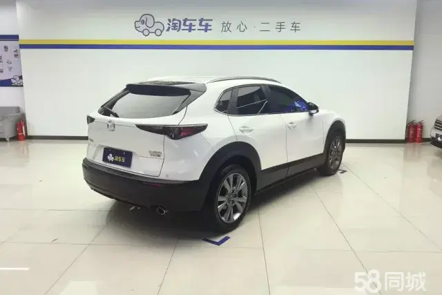 Mazda CX-30 EV 2020 imagen de coche #4