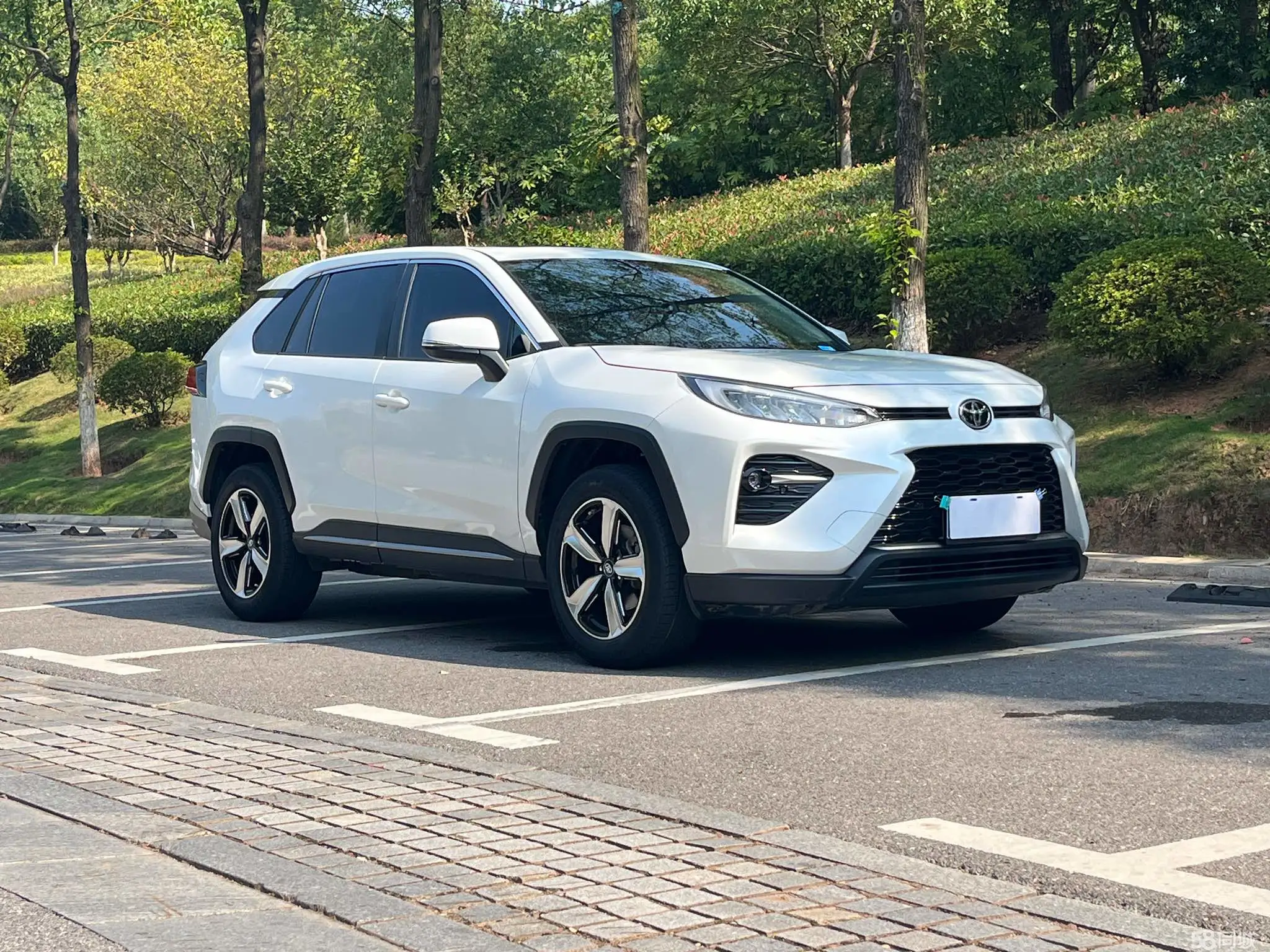 Toyota Wildlander 2022 imagem de carro #4