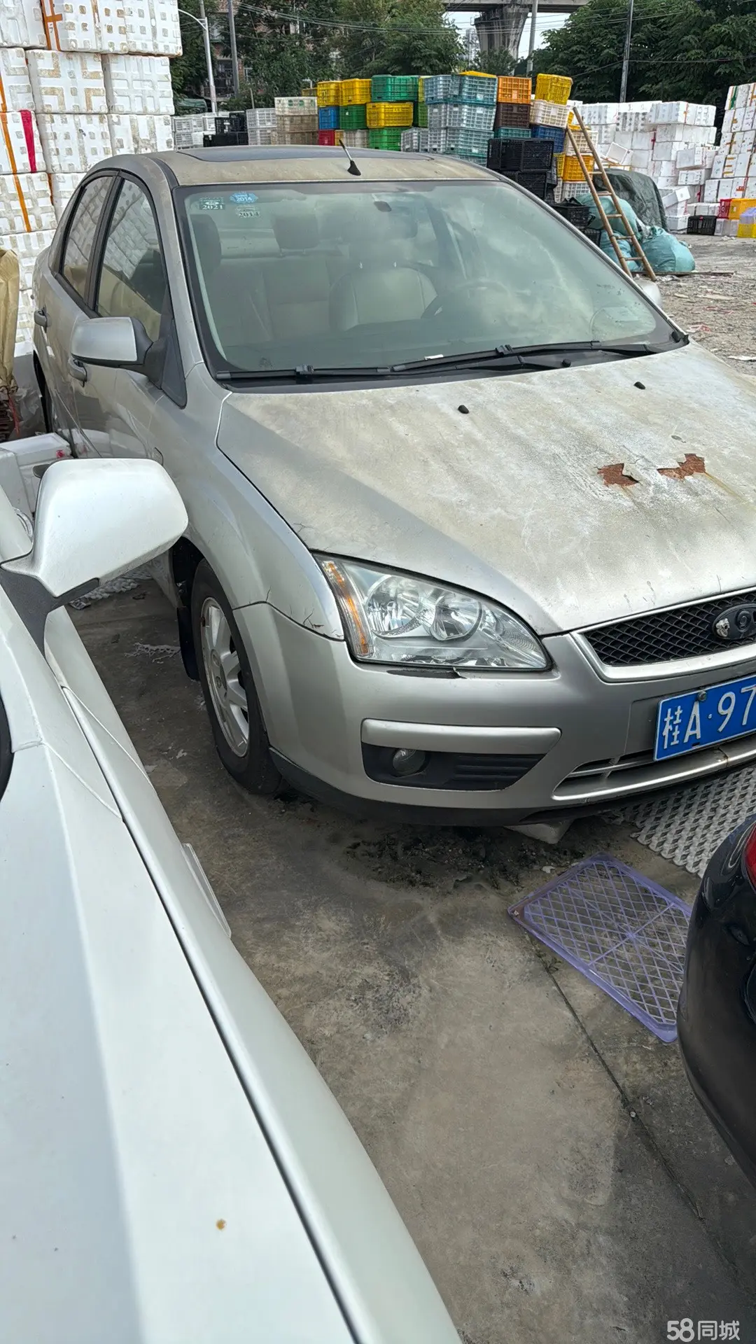 Ford Focus 2006 car image #4