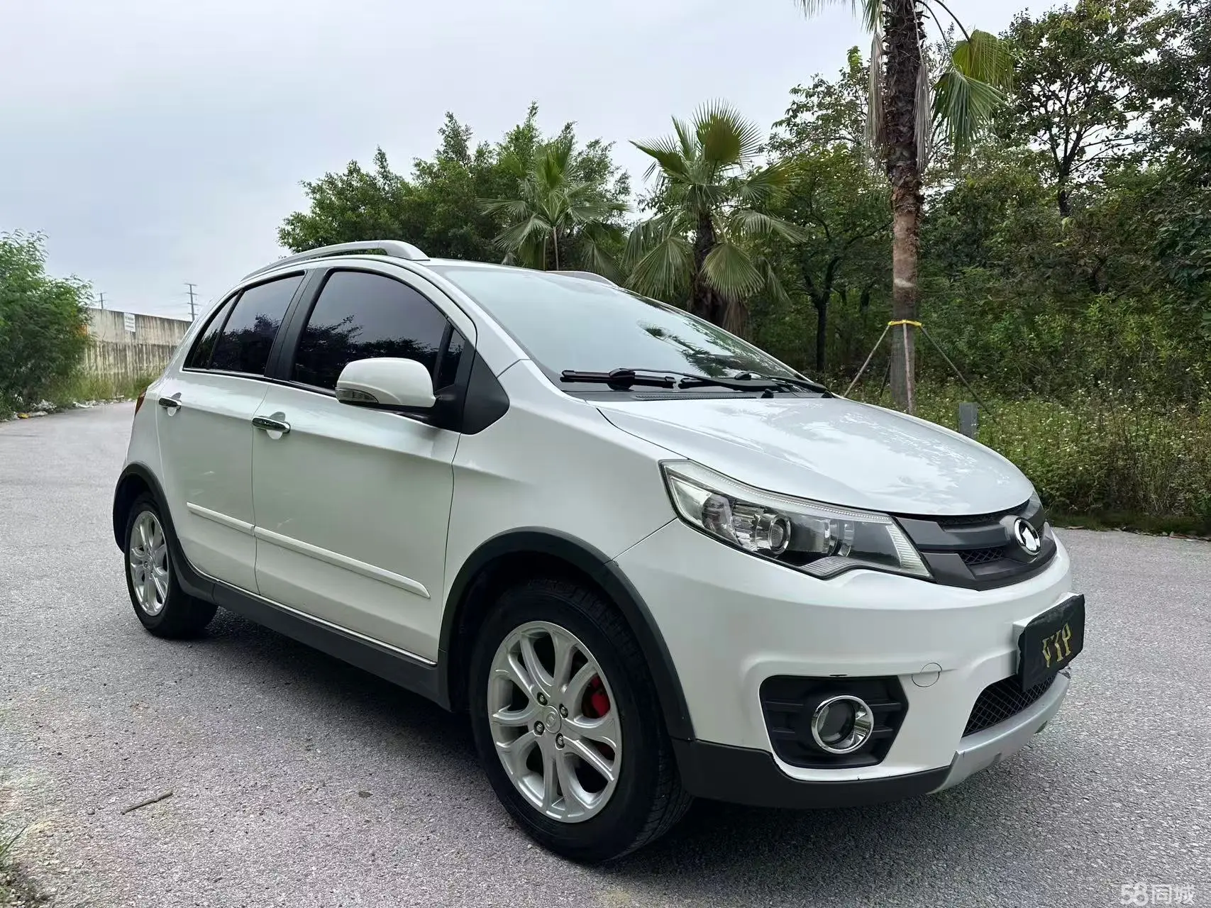 Great Wall C20R 2012 car image #4