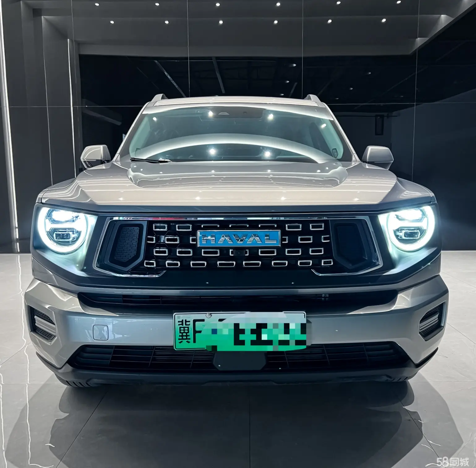 Haval X Dog 2 New Energy 2023 car image #4