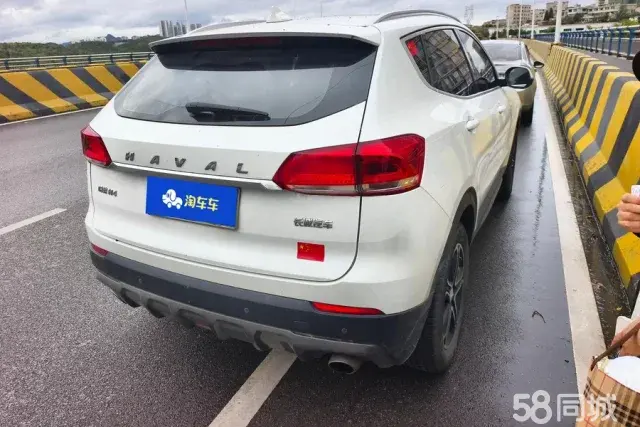 Haval H4 2020 #4 Haval H4 2020 car image #4