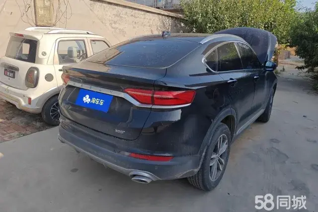 GEELY Tugella 2020 car image #4