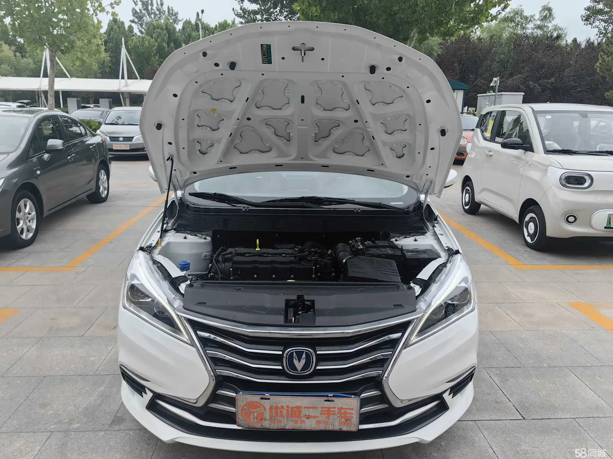 Changan Eado DT 2023 #4 Changan Eado DT 2023 immagine di auto #4