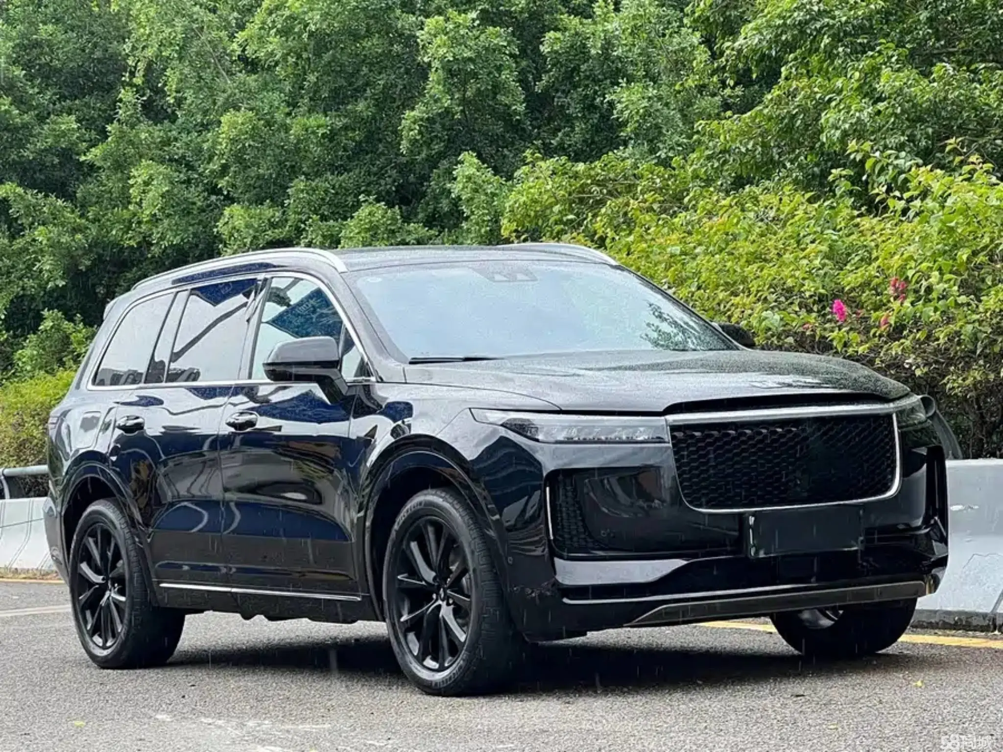 Li i6 2020 immagine di auto #4