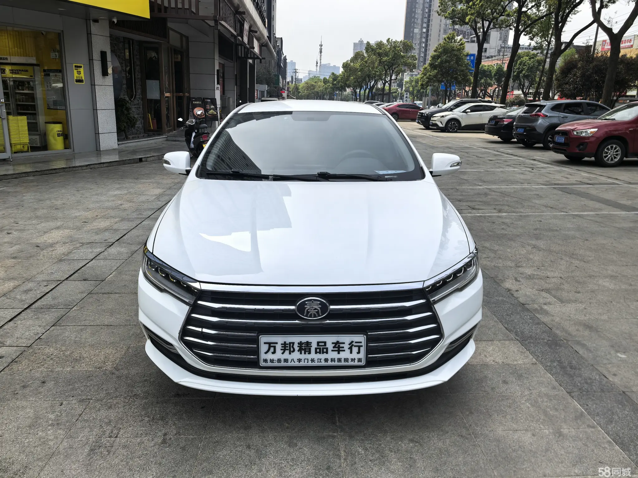 BYD Qin 2021 #4 BYD Qin 2021 car image #4