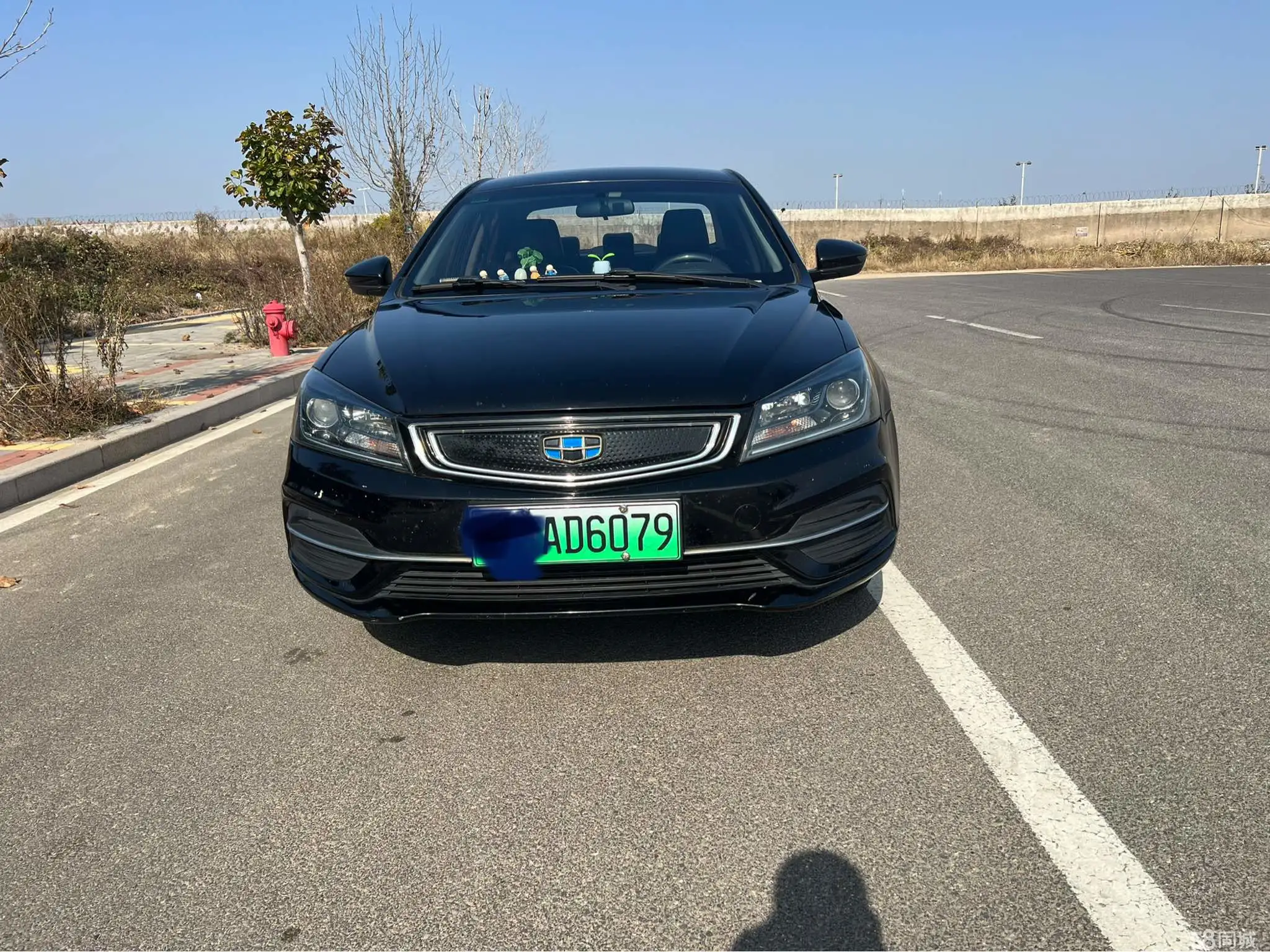 GEELY Emgrand New Energy 2018 car image #4