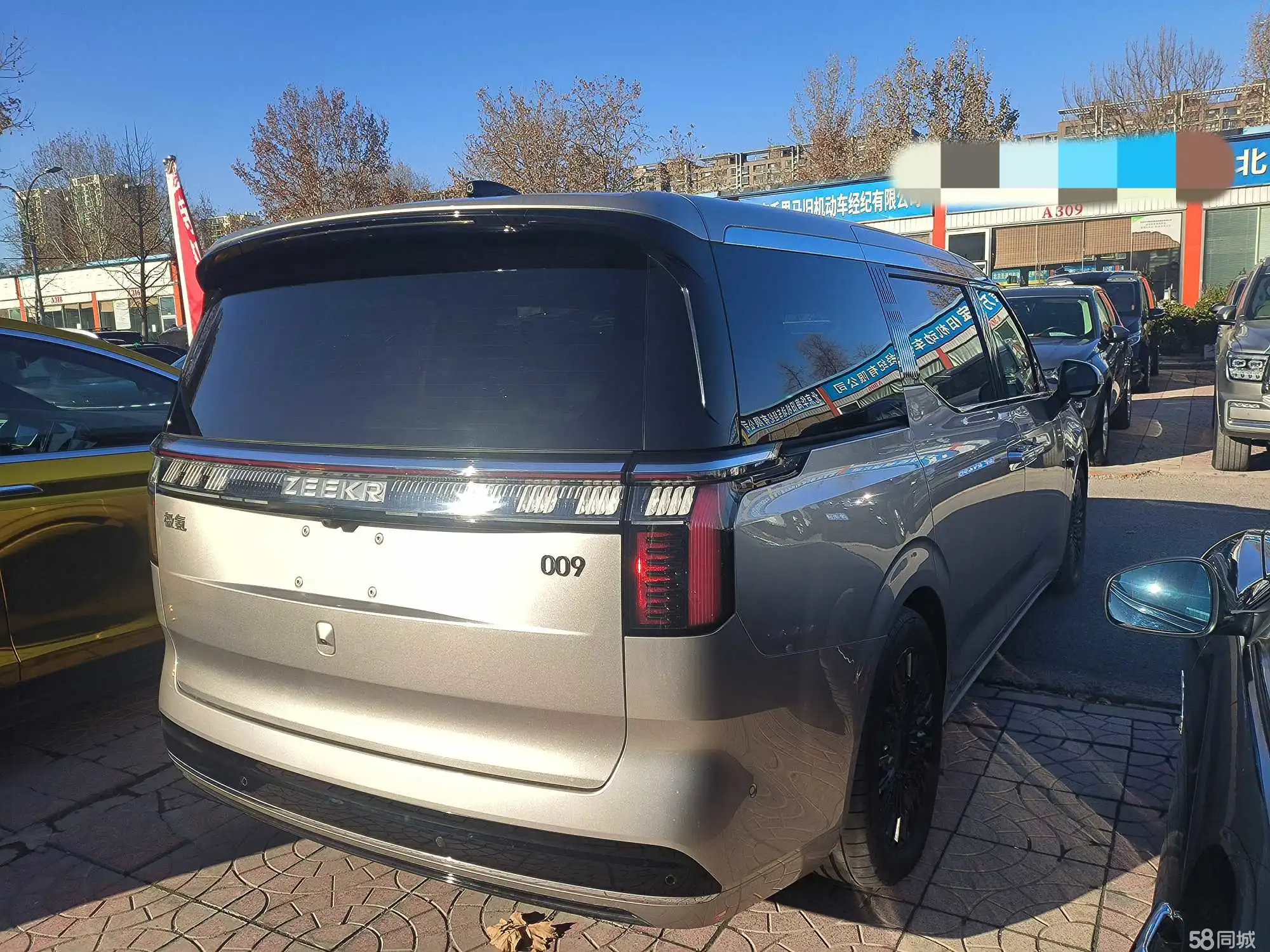 极氪 极氪009 2023 汽车图片 #4