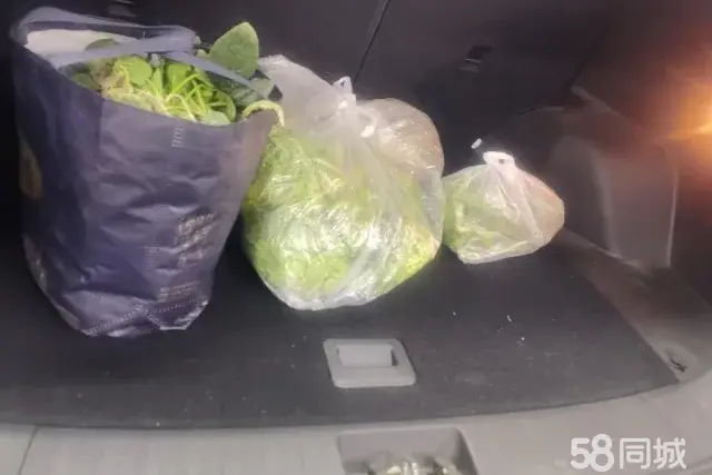 Soueast DX7 2017 car image #4