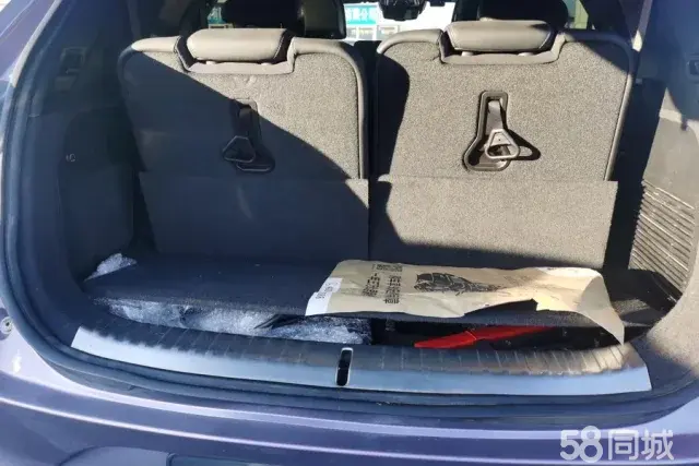 Denza X 2020 car image #4