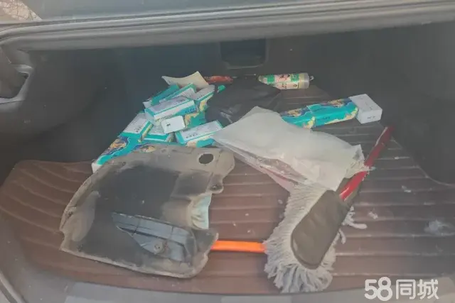 GAC Trumpchi GA8 2018 car image #4