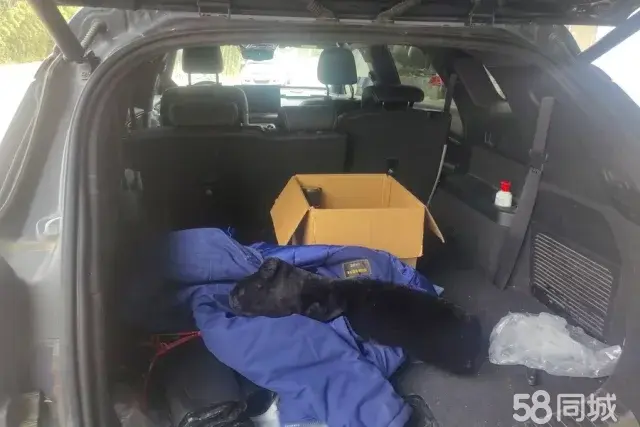 Denza X 2020 car image #4