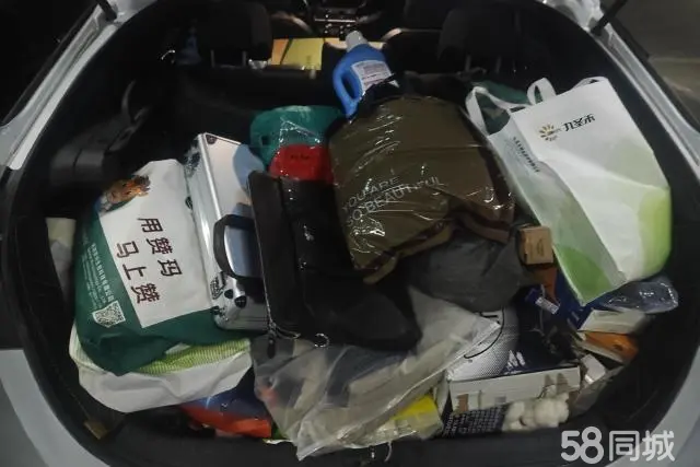 Honda Civic 2022 car image #4