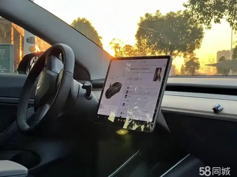 Tesla Model 3 2020 car image #4