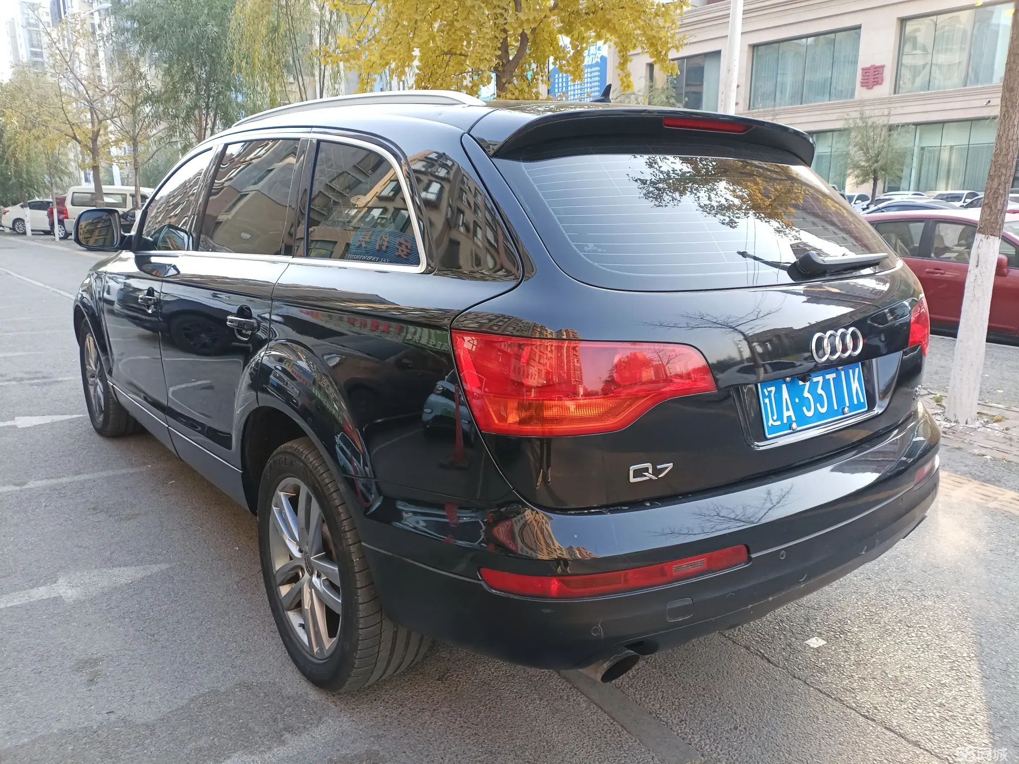 奥迪 奥迪Q7 2007 汽车图片 #4