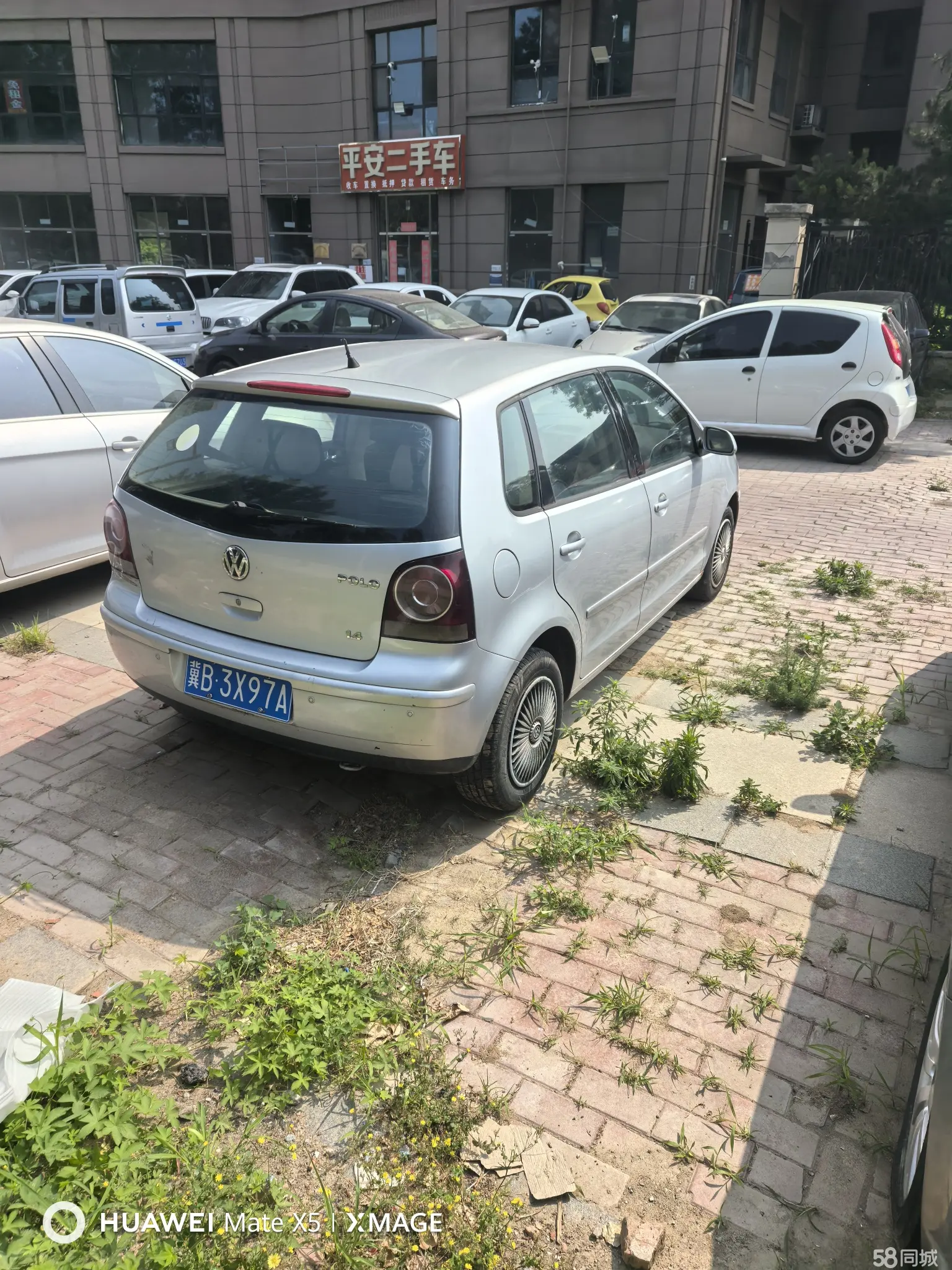 Volkswagen Polo 2007 car image #4