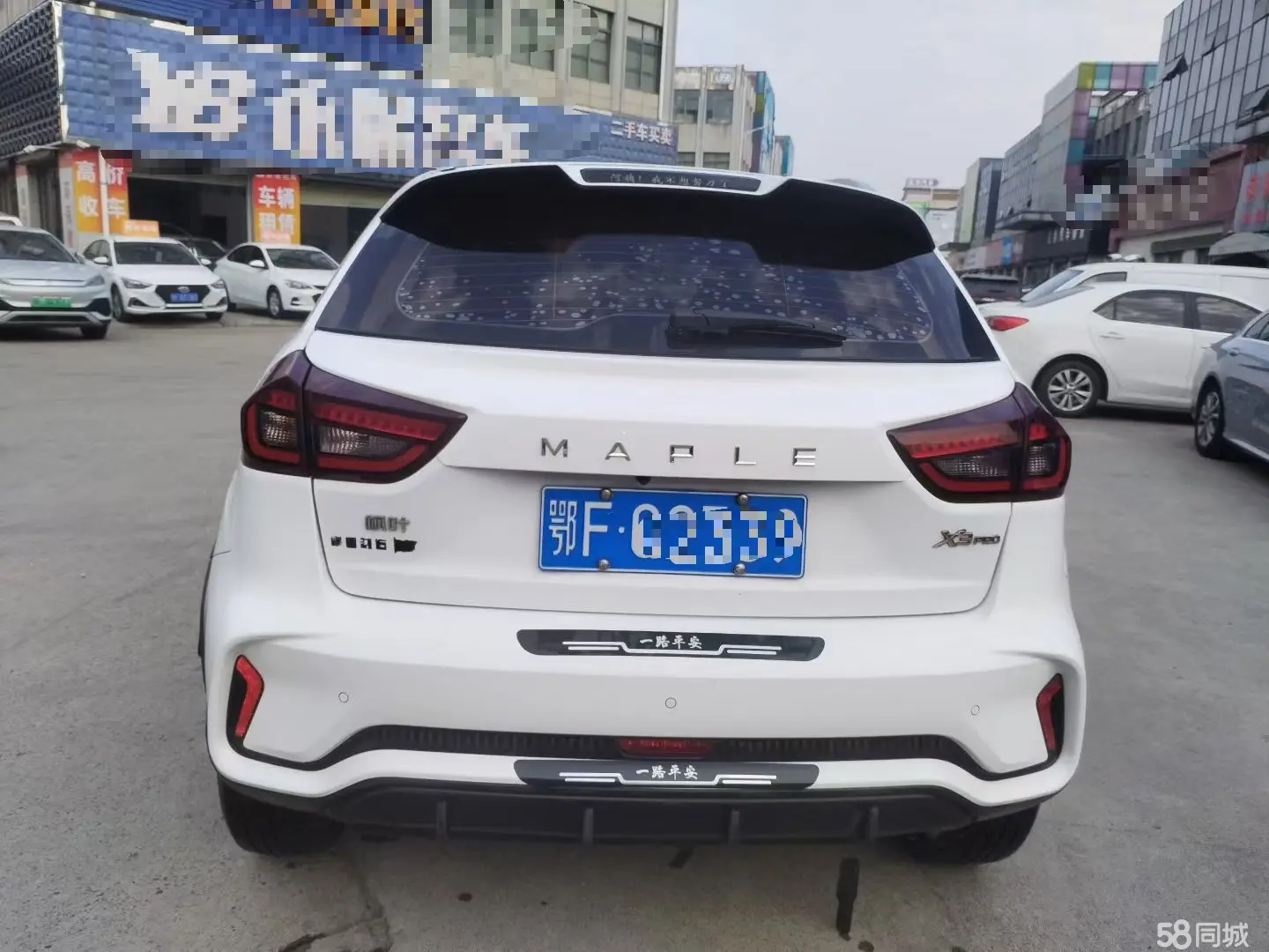 睿蓝汽车 睿蓝汽车X3 PRO 2022 汽车图片 #4