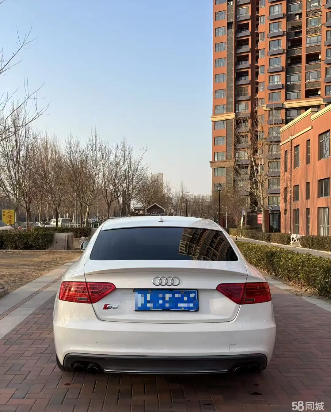 Audi S5 2023 #4 Audi S5 2023 car image #4