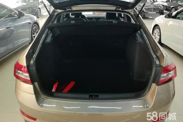 Skoda Octavia 2019 car image #4