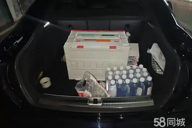 Audi RS 5 2024 car image #4