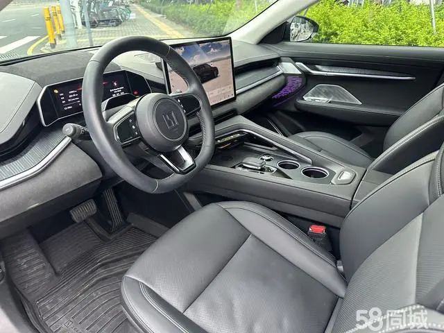 极氪 极氪001 2022 汽车图片 #4