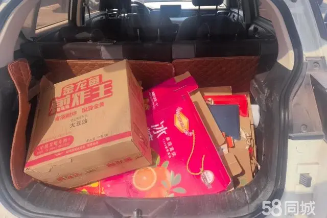 Beijing X3 2020 car image #4