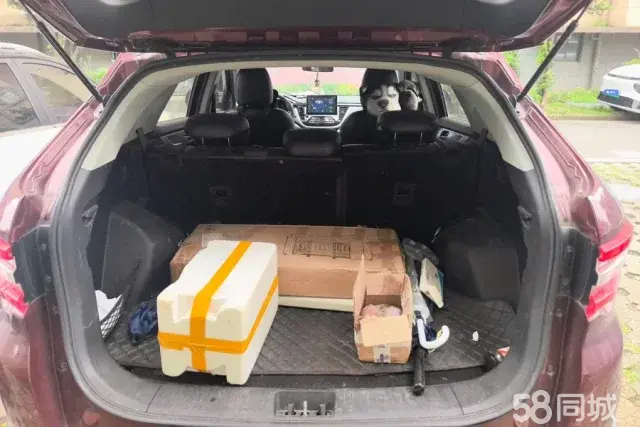 Soueast DX7 2019 immagine di auto #4