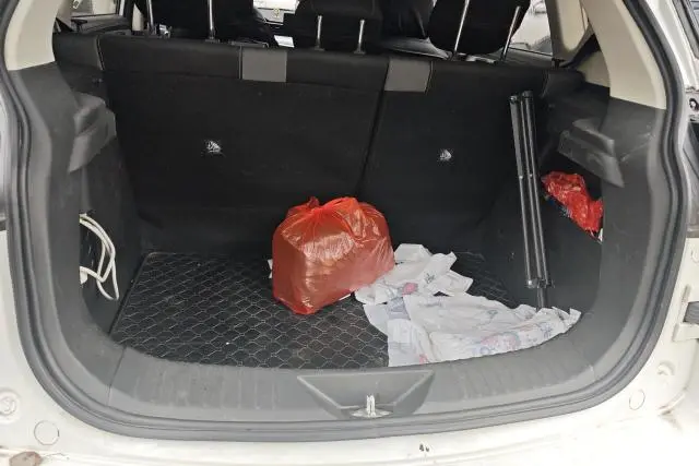 Beijing X3 2020 immagine di auto #4