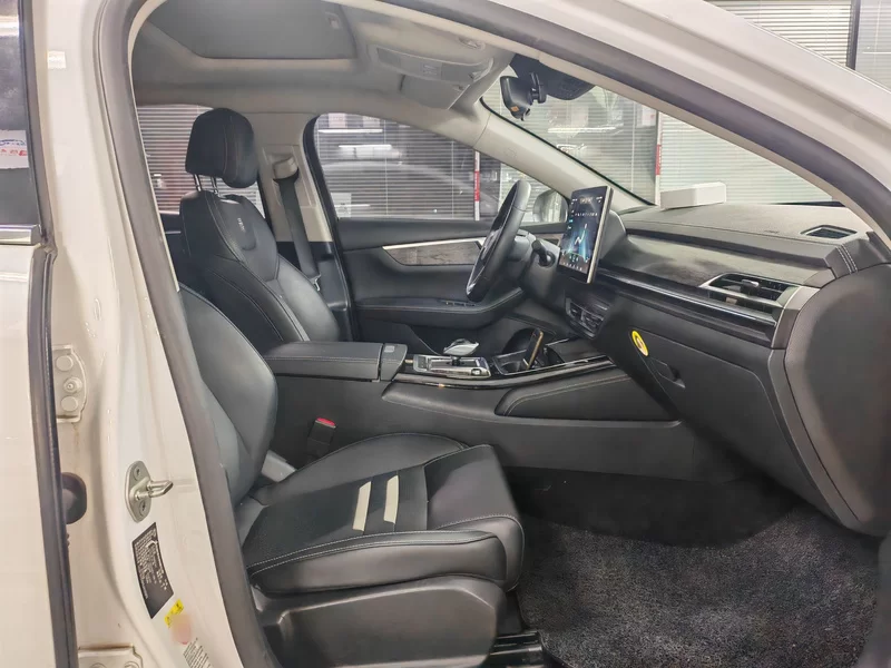 BYD Qin Pro 2020 car image #4